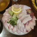 바밤 | 대구 동성로 횟집 방어 맛집 바밤 주말웨이팅 후기