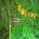 둔산중로-18 이미지