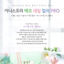 에코네일 네이버블로그
