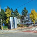 경기테크노파크 | [가을 힐링 클래스] 경기테크노파크 출근길, 이음피플 꽃바구니 만들기와 간담회 후기