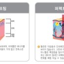 엘리나의원 이미지