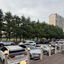 [일로식당] 포항 효자 시장 맛집 색다른 꽃삼겹 관자 버섯 조합의 &#39;일로삼합&#39; 메뉴 솔직 후기