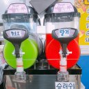 지동야채