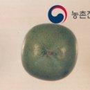 진원농장 | 감나무 검은점무늬병(黑點病, Black spot) 방제 및 관리