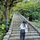 황금돼지동상 | [대만 여행] 예스폭진지 투어｜진과스 광부도시락 황금박물관 입장료