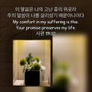 솔트라인 이미지
