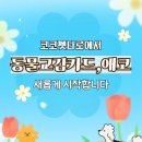 카드로 힐링하는 타로 이미지