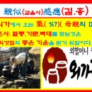 외가 Daum카페