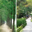 순환로 405번길 이미지