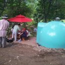 애견나라 이미지