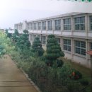 춘포초등학교병설유치원 이미지