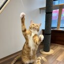 연두민박 이미지