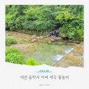 845 | 대전 동학사 카페 계곡 물놀이 어썸 845 다녀왔어요.