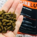 펫 로드스타 컴퍼니 이미지