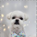 미소짓는케어 이미지