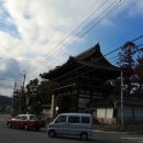 호덴탈 | 일본 국보 고류지 반가사유상