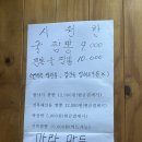 황궁반점 | 대구 안심역 맛집 [황궁반점] 현지인 찐맛집