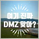 햇빛누리 | 파주 DMZ 곤돌라 후기｜임진각 평화누리공원 + 캠프그리브스 당일 나들이