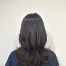 아벤티헤어살롱 염주포스코점 네이버블로그