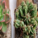 연천목장 이미지