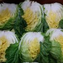 진배농장 이미지