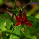 뉴새한렌트카 이미지