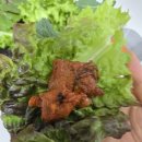 자연의 기억 | 대구 도동 오리고기 맛집 | 향나루자연오리농원식당 가족 외식 후기