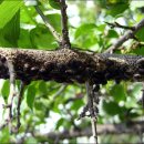 동남공원 이미지