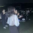 봉황태권도 | 졸업도 싫고 안졸업도 싫고 대학원도 가기싫고 안가기도 싫고 그냥 돈많고 시간많은 무지렁이가 되고 싶어