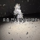 아모레퍼시픽 | 아모레퍼시픽 미술관 소장품전 후기, 작가 라인업까지 탄탄했던 전시