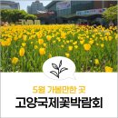 농부쟁이네 | 2026 고양국제꽃박람회 후기 5월 연휴 가볼만한 곳 주차 입장