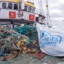 플라스틱 빨대는 정말 환경에 나쁠까? 이미지