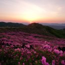 처음 만나는 세계사 여행 | 경남 여행지 추천, 황매산 철쭉 절정 시기 일출 명소 직접 다녀온 후기