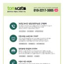 톰앤캣 광명고양이분양 이미지