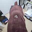 헤바메 이미지