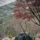 경남 산청 경호강캠핑장 A12 사이트 후기