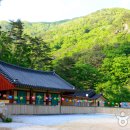 용추캠프 이미지