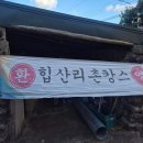 제주게스트하우스난산리큰집&일이오구 | 힙산리촌캉스_난산리큰집 제주 게스트하우스#11기