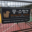 금천사거리 육교아래 | 금천구 반려견 놀이터 후기 ㅣ무료이용,시설,이용규칙 총정리