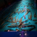 원낚시포차 이미지