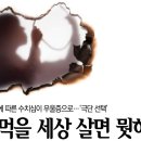 2024년 6월 27일 목요일. 신문을 통해 알게 된 것들 이미지