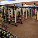 고릴라짐 이미지