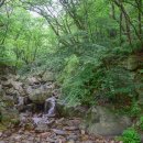 상학초등학교 이미지