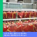 240901 대구 일상비질 후기