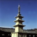 역사로 수다 | 무구정광대다라니경