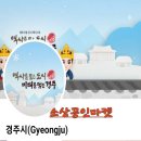 비데랜드 이미지