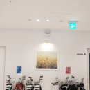 봄스크린골프 이미지