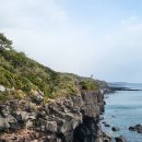 중문약천사 입구 도로변 | 차 : 남원큰엉해안경승지, 카페 젠타일스, 동백포레스트, 보름숲,1100도로 농산물 직판장,우정회센터중문점