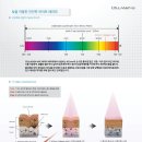 화이트피부