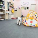 멍꾸러기 이미지